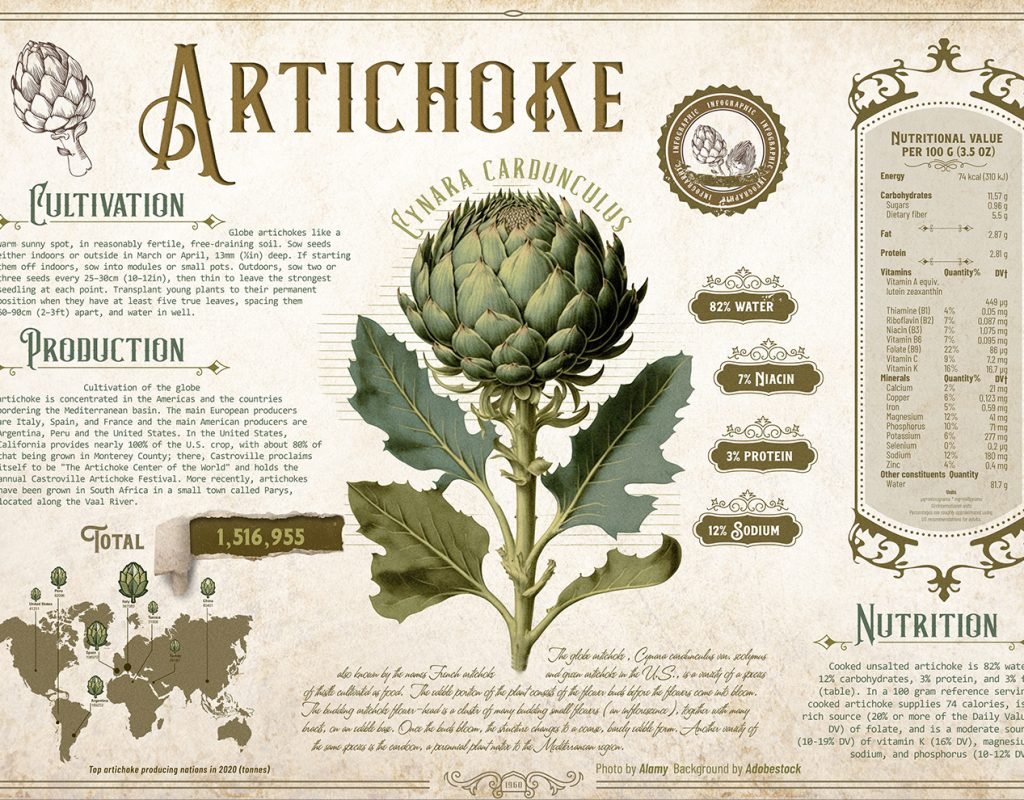 infographics2